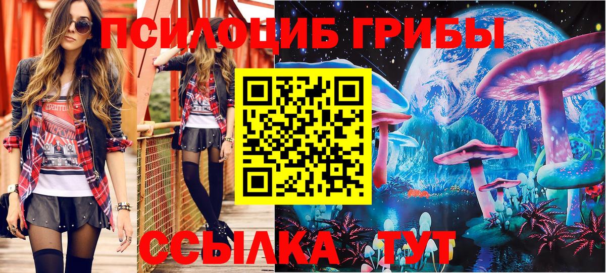 Псилоцибиновые грибы Psilocybine cubensis Урай