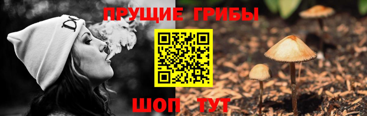 Псилоцибиновые грибы прущие грибы  Псилоцибиновые грибы Psilocybine cubensis  Вход с VPN  как найти   Урай 